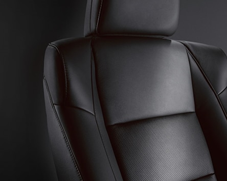 ILX perforated leatther