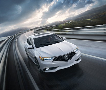 2019 TLX color white