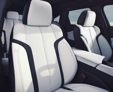 Interior shot of white leather seats with black piping.